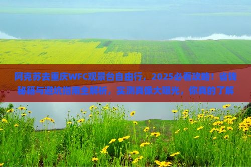 阿克苏去重庆wfc观景台自由行