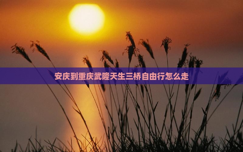 安庆到重庆武隆天生三桥自由行 安庆到重庆武隆天生三桥自由行