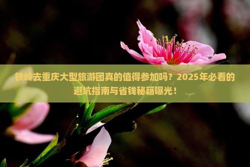 铁岭去重庆大型旅游团