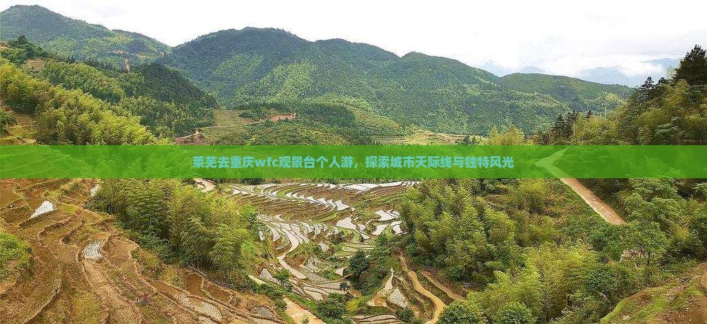莱芜去重庆wfc观景台个人游