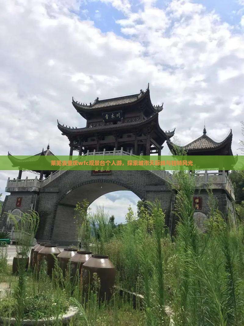 莱芜去重庆wfc观景台个人游