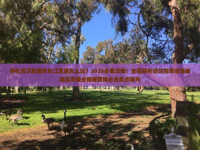 呼伦贝尔到重庆长江索道哪里玩