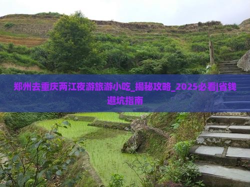 郑州去重庆两江夜游旅游小吃