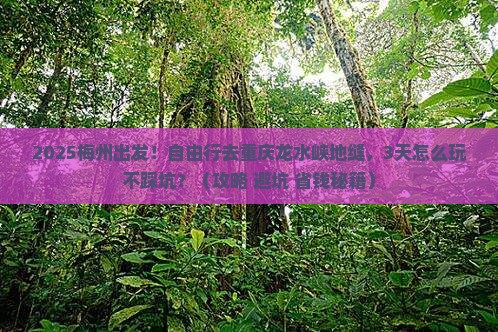 梅州到重庆龙水峡地缝自由行