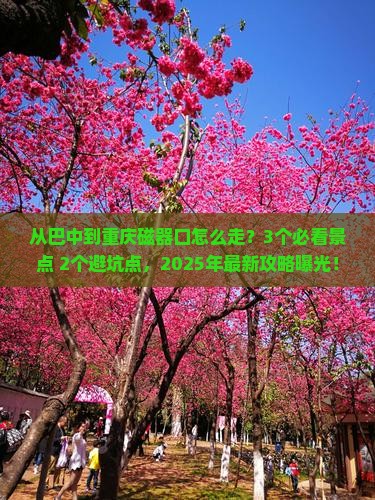 巴中去重庆磁器口门票