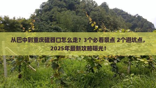 巴中去重庆磁器口门票