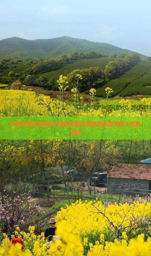 东营去重庆渣滓洞大型旅游团
