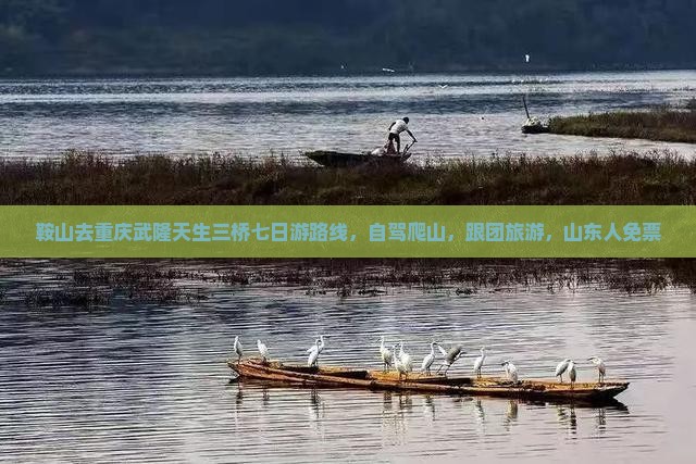 鞍山去重庆武隆天生三桥七日游