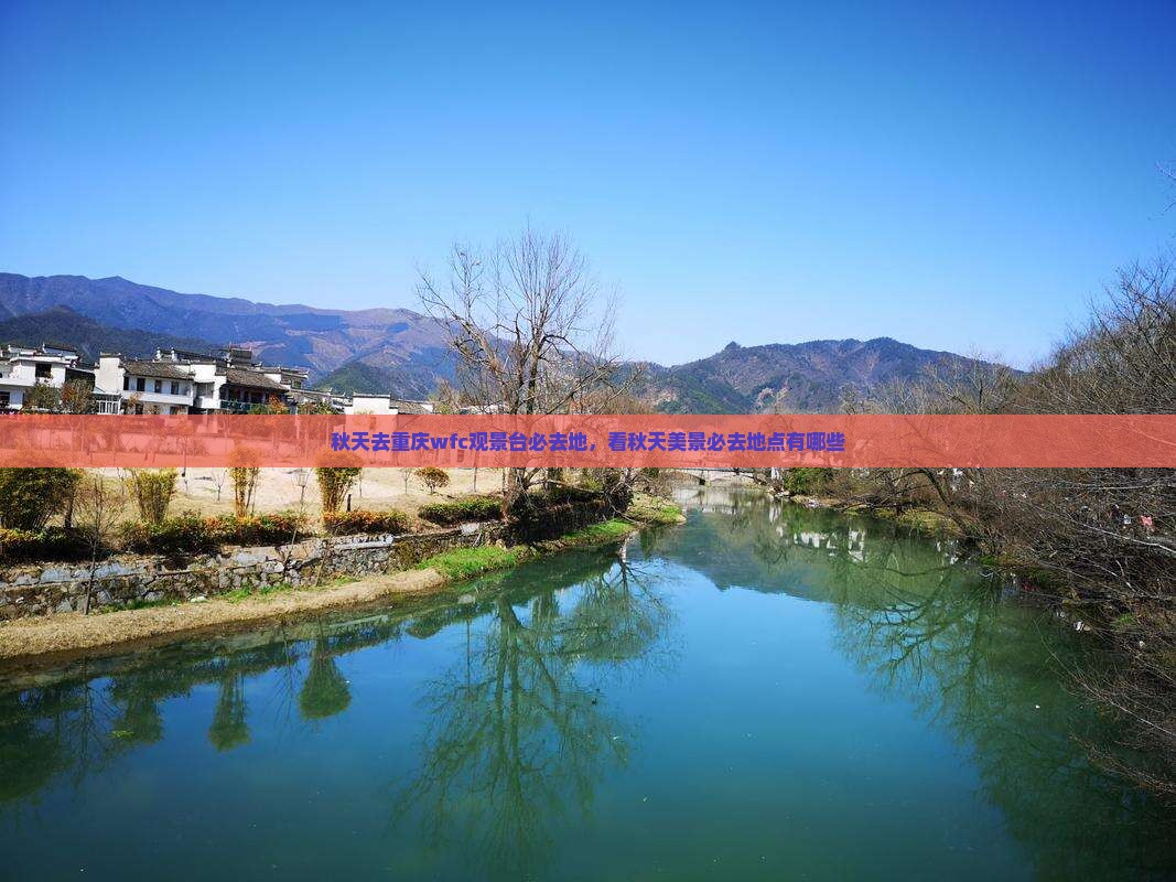 秋天去重庆wfc观景台必去地