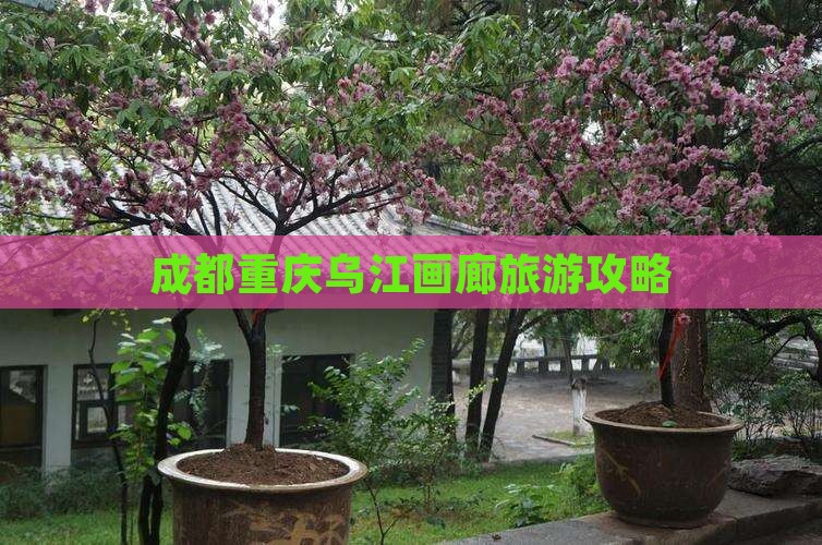 成都到重庆乌江画廊攻略