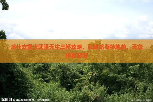 喀什去重庆武隆天生三桥攻略