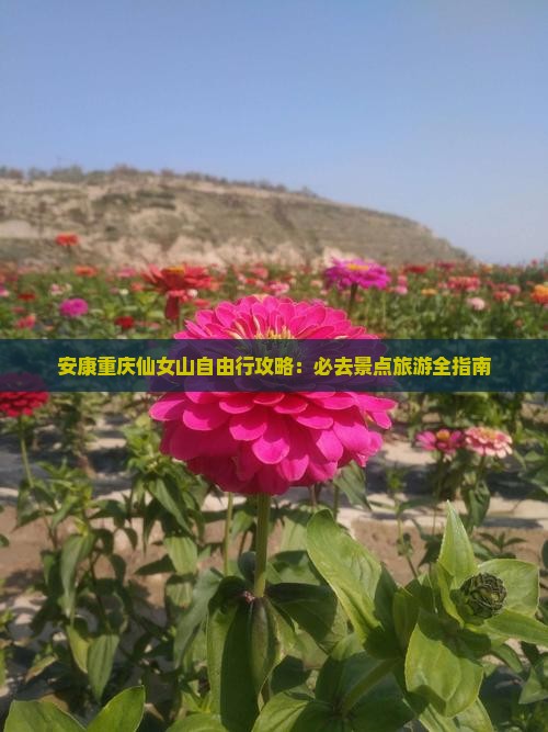 安康去重庆仙女山自由行