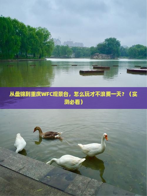盘锦去重庆wfc观景台一日