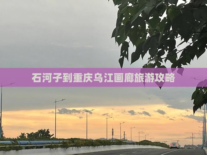 石河子到重庆乌江画廊团体旅游