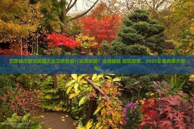 巴彦倬尔去重庆武隆天生三桥自由行