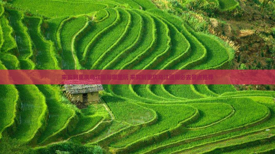 来宾到重庆乌江画廊哪里玩