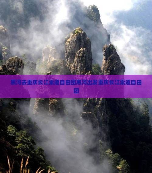 黑河去重庆长江索道自由团