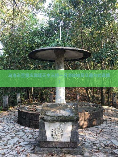 乌海市至重庆武隆天生三桥一日游攻略及交通方式详解？