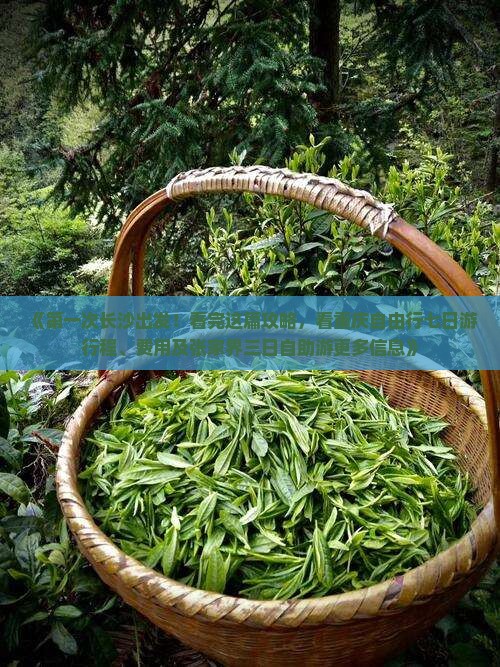 《第一次长沙出发！看完这篇攻略，看重庆自由行七日游行程、费用及张家界三日自助游更多信息》