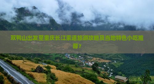 双鸭山出发至重庆长江索道旅游攻略及当地特色小吃推荐？