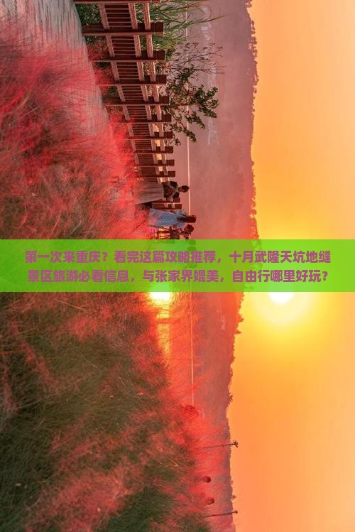 第一次来重庆？看完这篇攻略推荐，十月武隆天坑地缝景区旅游必看信息，与张家界媲美，自由行哪里好玩？