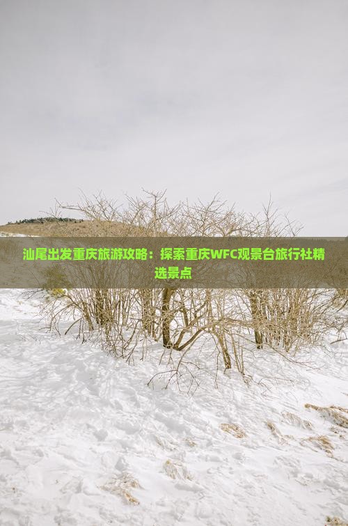 汕尾出发重庆旅游攻略：探索重庆WFC观景台旅行社精选景点