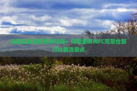 汕尾出发重庆旅游攻略：探索重庆WFC观景台旅行社精选景点