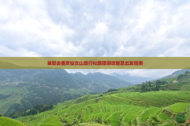 襄樊去重庆仙女山旅行社跟团游攻略及出发指南