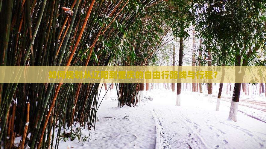 如何规划从辽阳到重庆的自由行路线与行程？