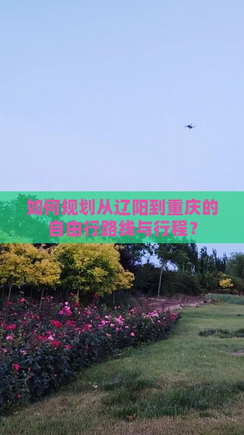 如何规划从辽阳到重庆的自由行路线与行程？