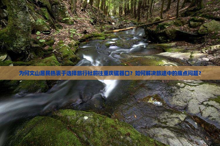 为何文山居民热衷于选择旅行社前往重庆磁器口？如何解决旅途中的痛点问题？