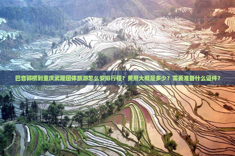 巴音郭楞到重庆武隆团体旅游怎么安排行程？费用大概是多少？需要准备什么证件？