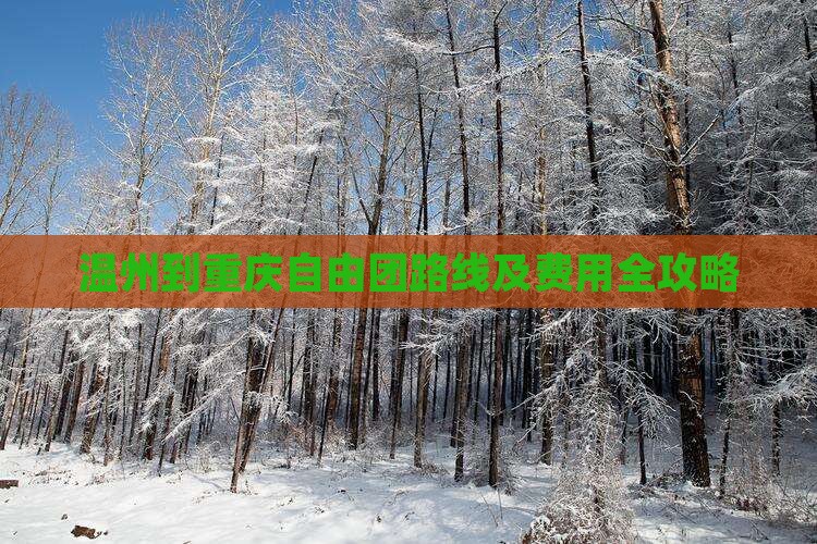 温州到重庆自由团路线及费用全攻略