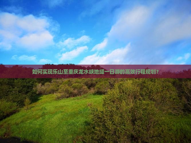 如何实现乐山至重庆龙水峡地缝一日游的高效行程规划？