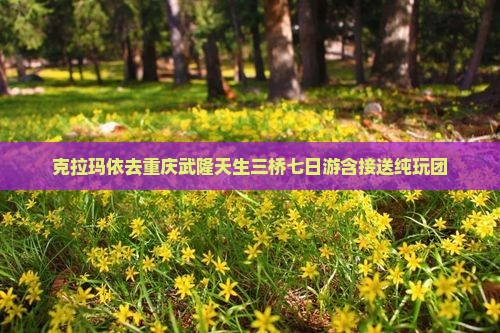 克拉玛依去重庆武隆天生三桥七日游含接送纯玩团