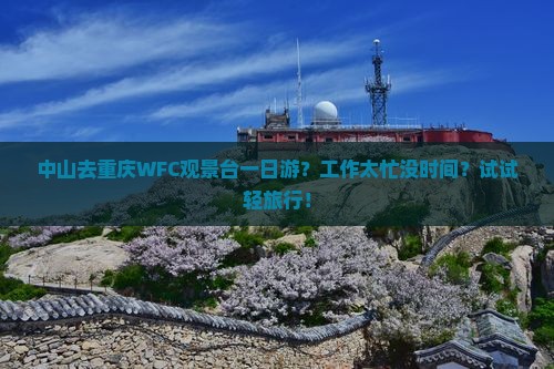 中山去重庆WFC观景台一日游？工作太忙没时间？试试轻旅行！