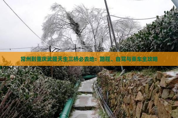 常州到重庆武隆天生三桥必去地：路程、自驾与乘车全攻略