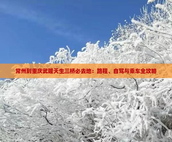常州到重庆武隆天生三桥必去地：路程、自驾与乘车全攻略