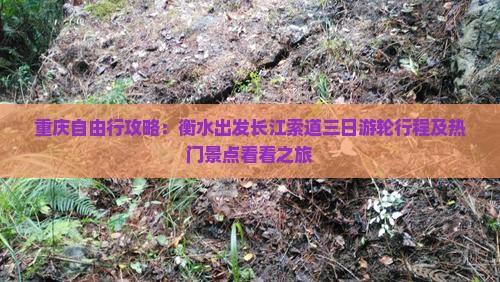 重庆自由行攻略：衡水出发长江索道三日游轮行程及热门景点看看之旅