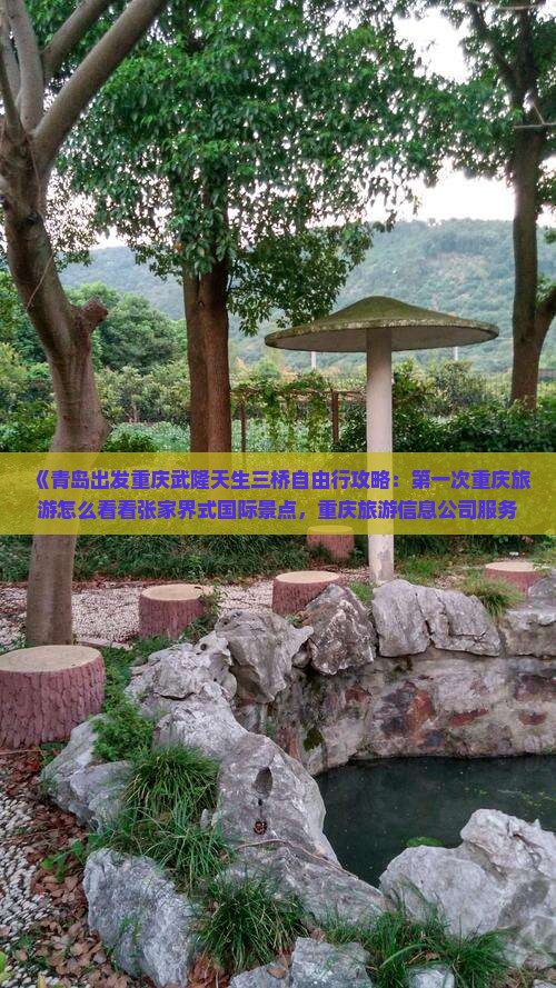 《青岛出发重庆武隆天生三桥自由行攻略：第一次重庆旅游怎么看看张家界式国际景点，重庆旅游信息公司服务详解》