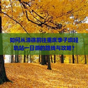 如何从清徐前往重庆李子坝轻轨站一日游的路线与攻略？