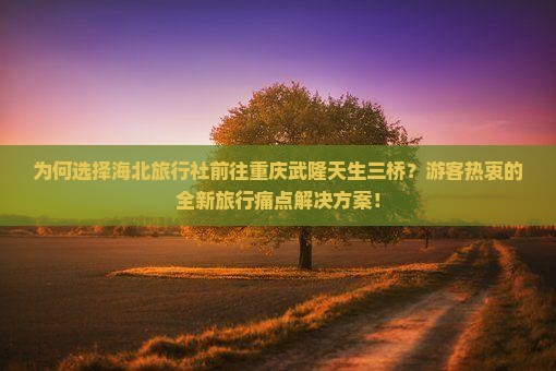 为何选择海北旅行社前往重庆武隆天生三桥？游客热衷的全新旅行痛点解决方案！