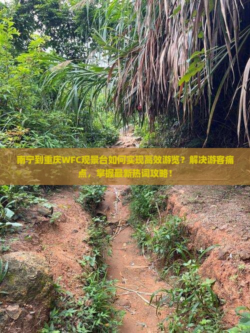 南宁到重庆WFC观景台如何实现高效游览？解决游客痛点，掌握最新热词攻略！