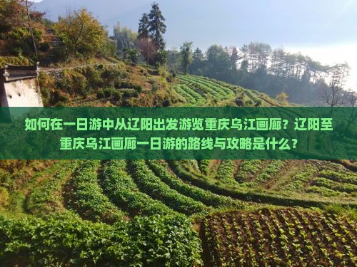 如何在一日游中从辽阳出发游览重庆乌江画廊？辽阳至重庆乌江画廊一日游的路线与攻略是什么？