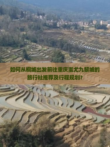 如何从桐城出发前往重庆蚩尤九黎城的旅行社推荐及行程规划？