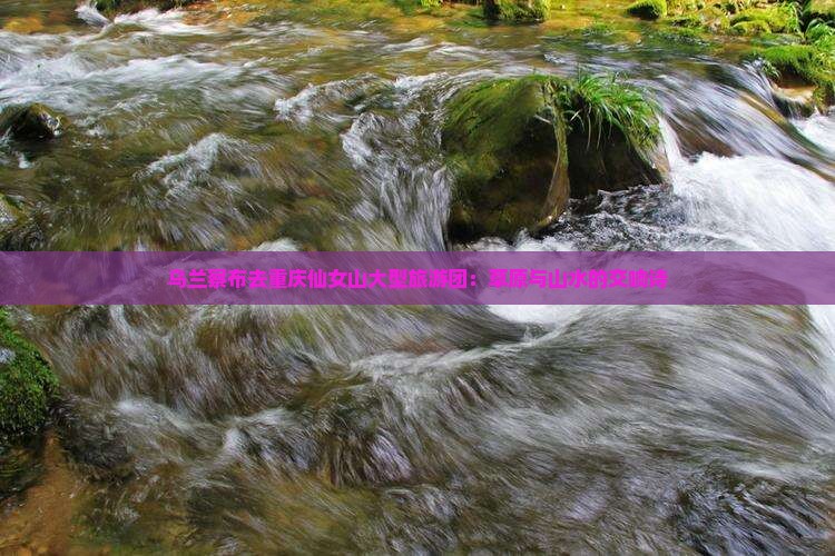 乌兰察布去重庆仙女山大型旅游团：草原与山水的交响诗