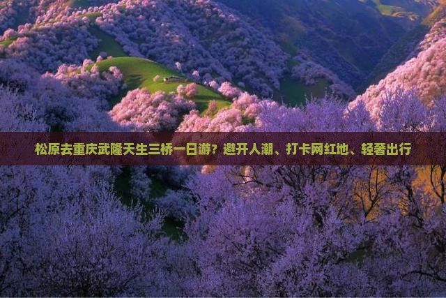 松原去重庆武隆天生三桥一日游？避开人潮、打卡网红地、轻奢出行