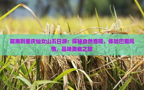 陇南到重庆仙女山五日游：探秘自然奇观，体验巴蜀风情，品味美食之旅