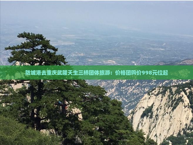 防城港去重庆武隆天生三桥团体旅游：价格团购价998元位起