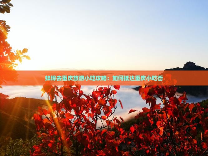 蚌埠去重庆旅游小吃攻略：如何抵达重庆小吃街